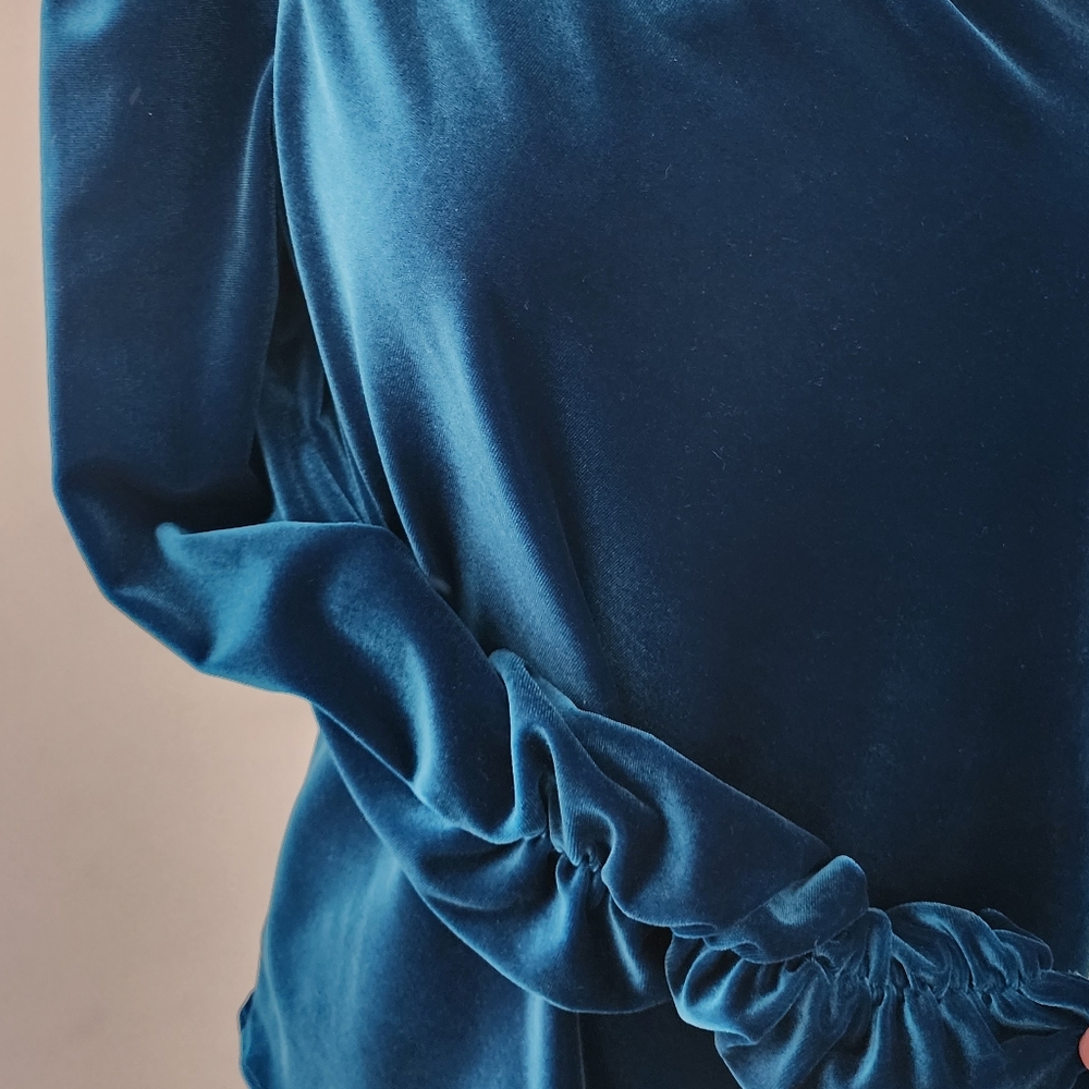 ML Monique Lhuillier One Shoulder Velvet Top Ruched Sleeve Blue Size S - Picture 13 of 15
